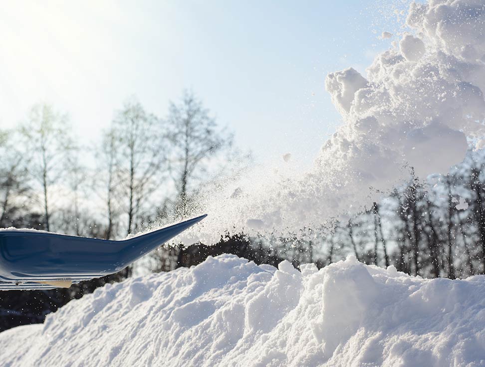 Shovel and snow